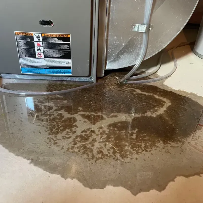 Appliance Leak Cleanup in Minneola, FL